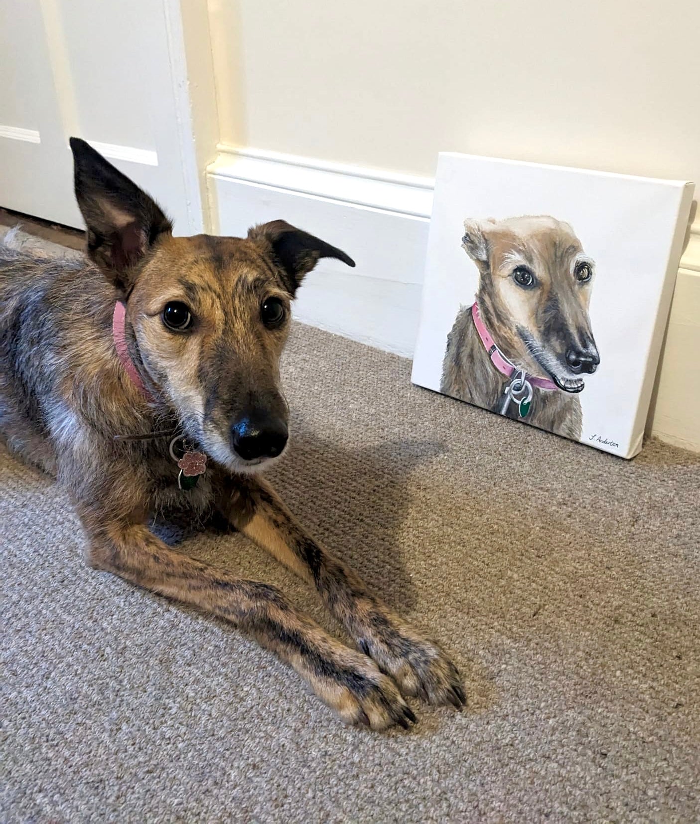 Commission Pet Portrait