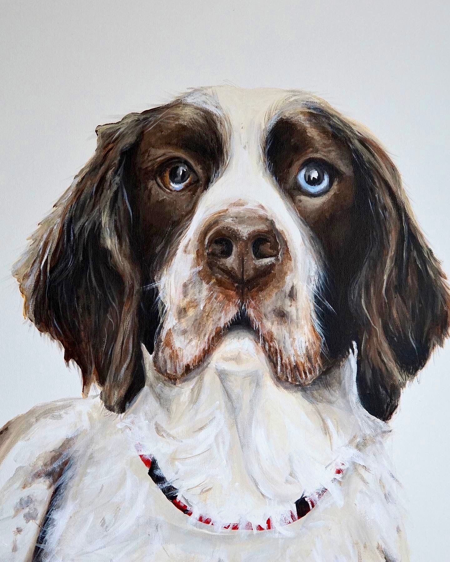 Commission Pet Portrait