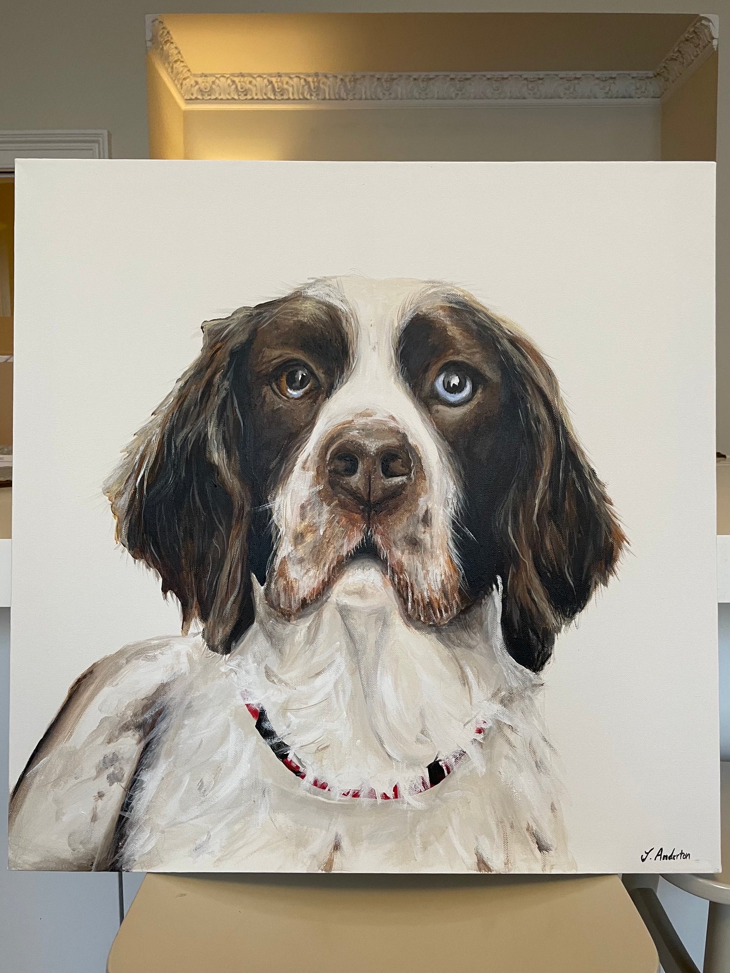 Commission Pet Portrait