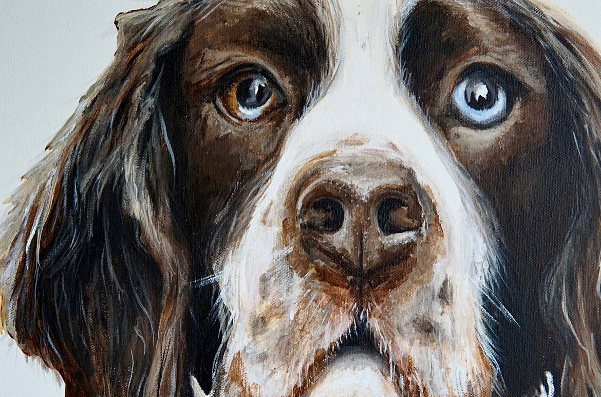 Commission Pet Portrait