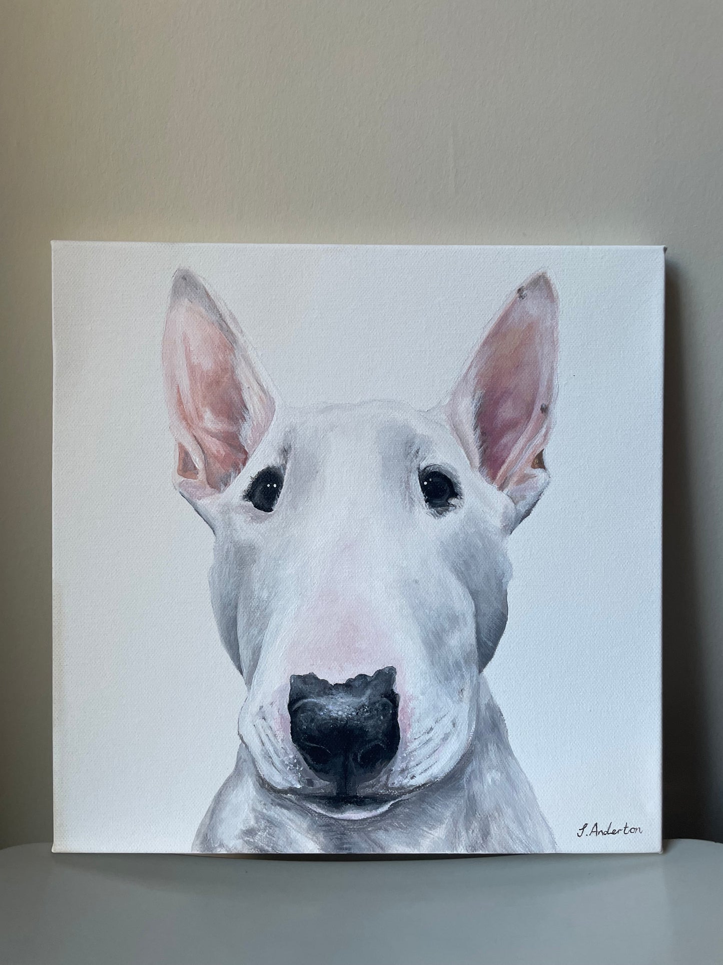 Commission Pet Portrait