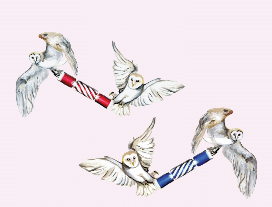 Christmas Cards Charity owls christmas crackers