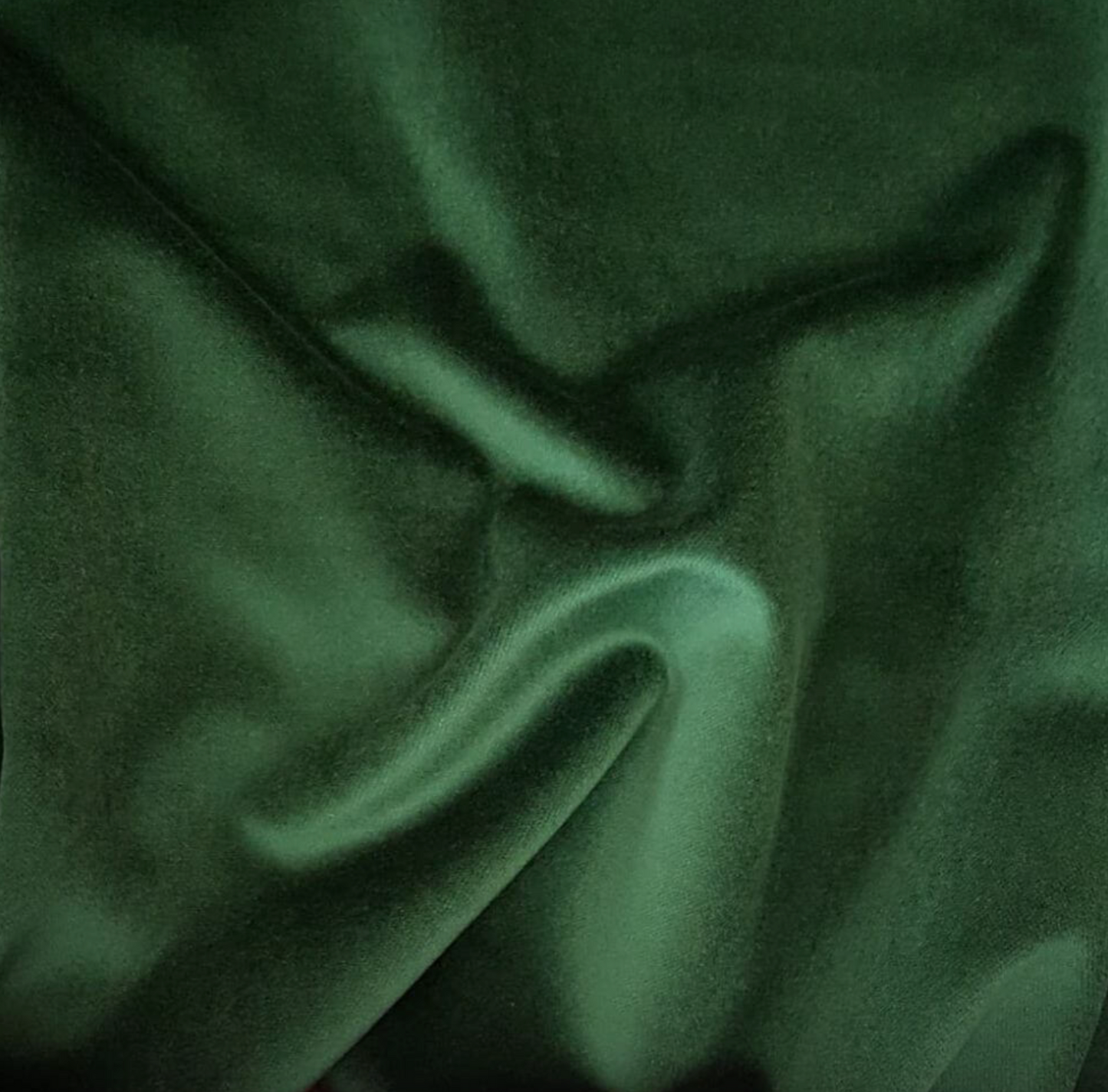 Champagne & Fizz Cushions