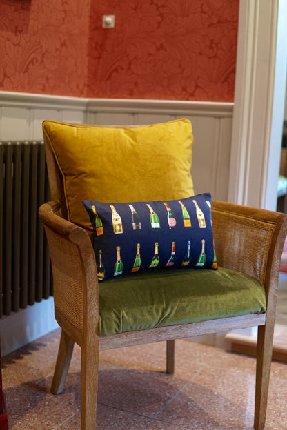 Champagne & Fizz Cushions