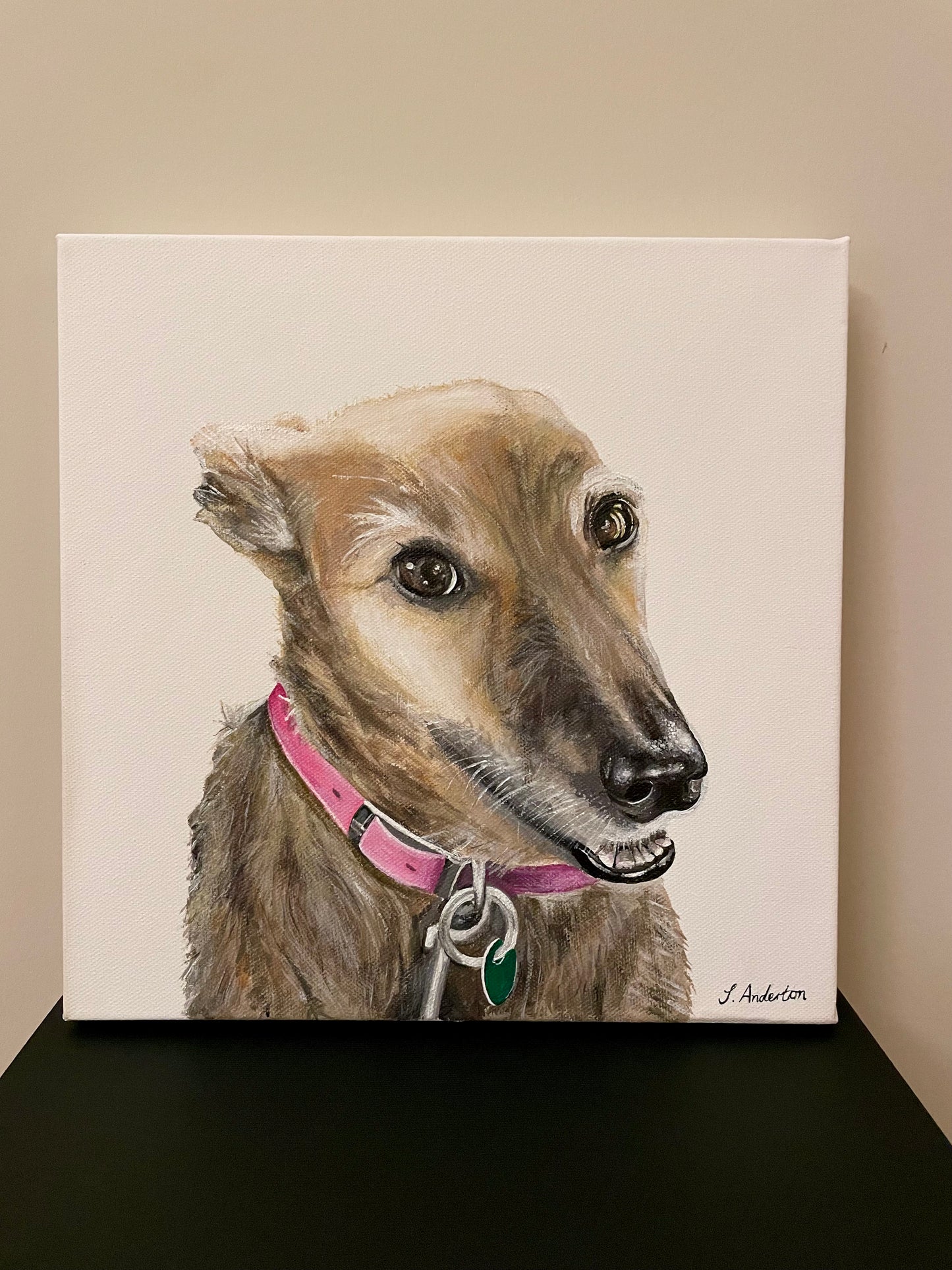 Commission Pet Portrait